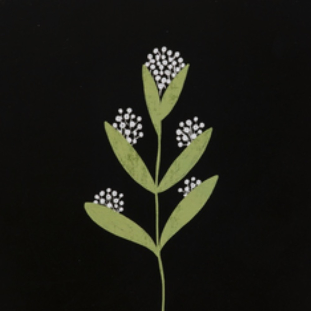 Meet your Posher, Mckenzie